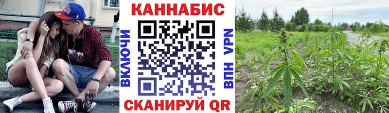 Конопля LSD WEED  Благодарный 